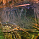 Illustration for article titled Ancient raindrop fossils reveal that we can thank greenhouse gases for early life on Earth